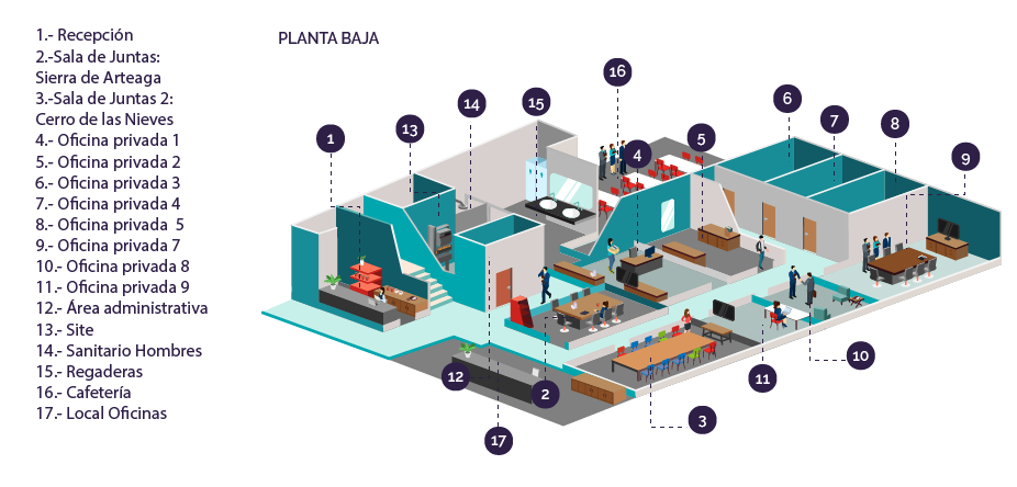 planta-baja